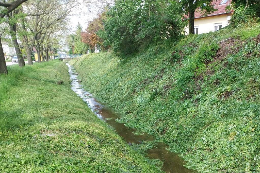 Felszíni vizek